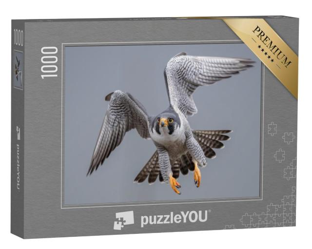 Puzzel 1000 stukjes „Slechtvalk tijdens de vlucht“