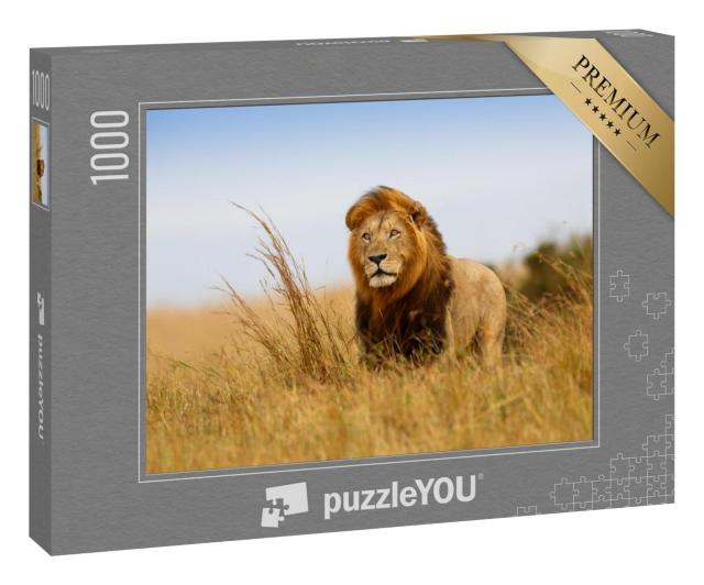 Puzzle 1000 Teile „Beeindruckender Löwe im goldenen Gras der Masai Mara, Kenia“