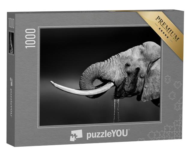 Puzzel 1000 stukjes „Stierolifant drinkt water, zwart-wit“