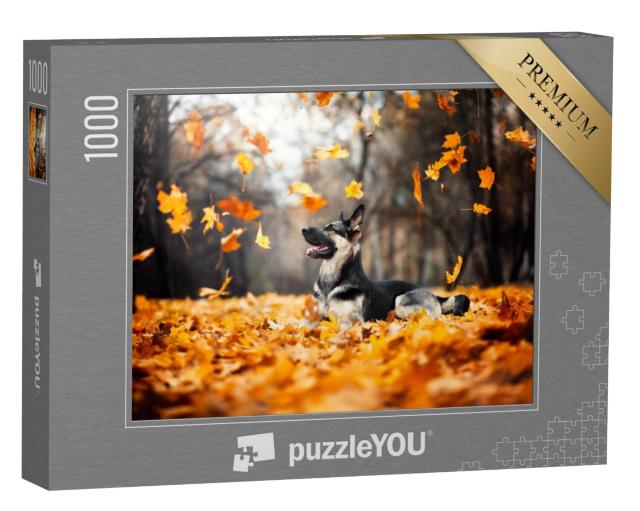 Puzzel 1000 stukjes „Herdershond in de wervelende herfstbladeren“