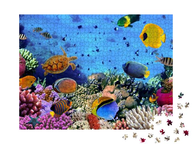 Puzzle 1000 Teile „Bunte Unterwasserwelt: Korallenkolonie im Roten Meer, Ägypten“