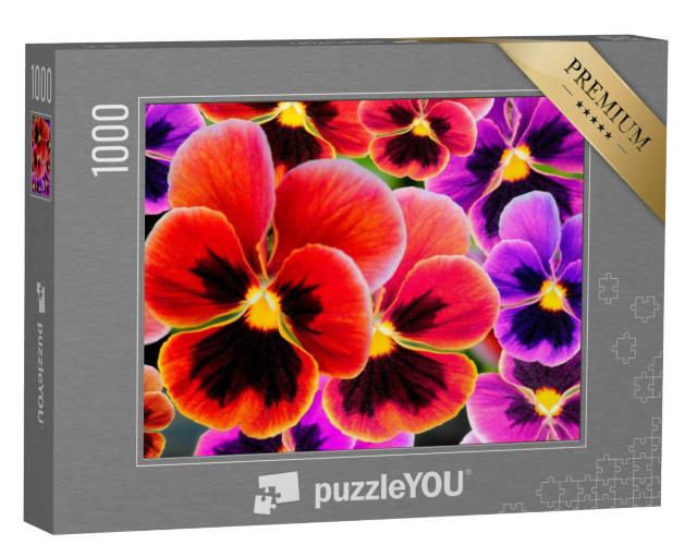 Puzzel 1000 stukjes „Prachtig kleurrijke viooltjes“