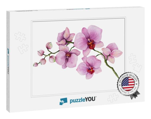 Watercolor Orchid Branch, Hand Drawn Floral Illustration... Jigsaw Puzzle