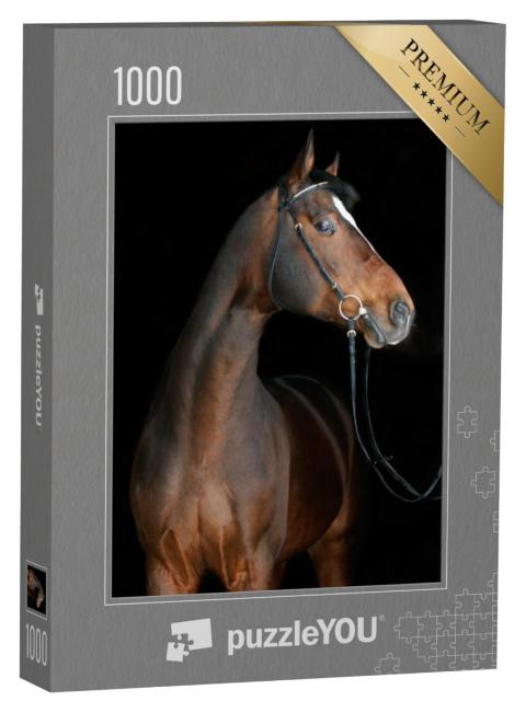 Puzzel 1000 stukjes „Bruin paard“