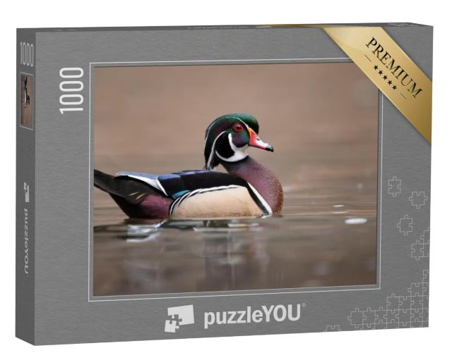 Puzzel 1000 stukjes „Een wilde eend, Pennsylvania“