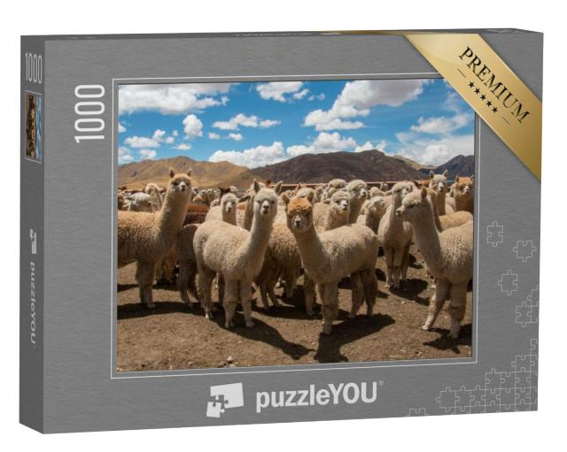 Puzzel 1000 stukjes „Grazende alpaca's bij Cusco, Andes, Peru“