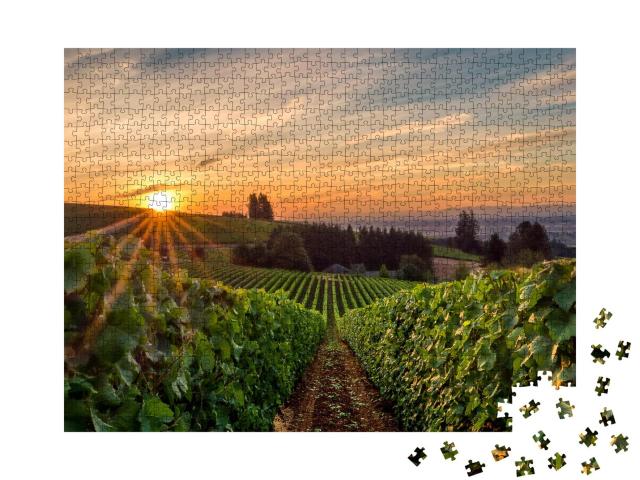 Puzzle 1000 Teile „Wunderschöner Sonnenaufgang über einem Weinberg im Willamette Valley“