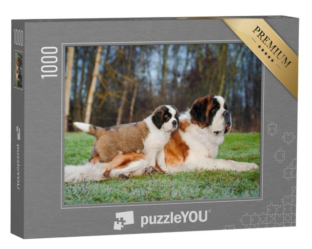 Puzzel 1000 stukjes „Volwassen en jonge Sint Bernards“