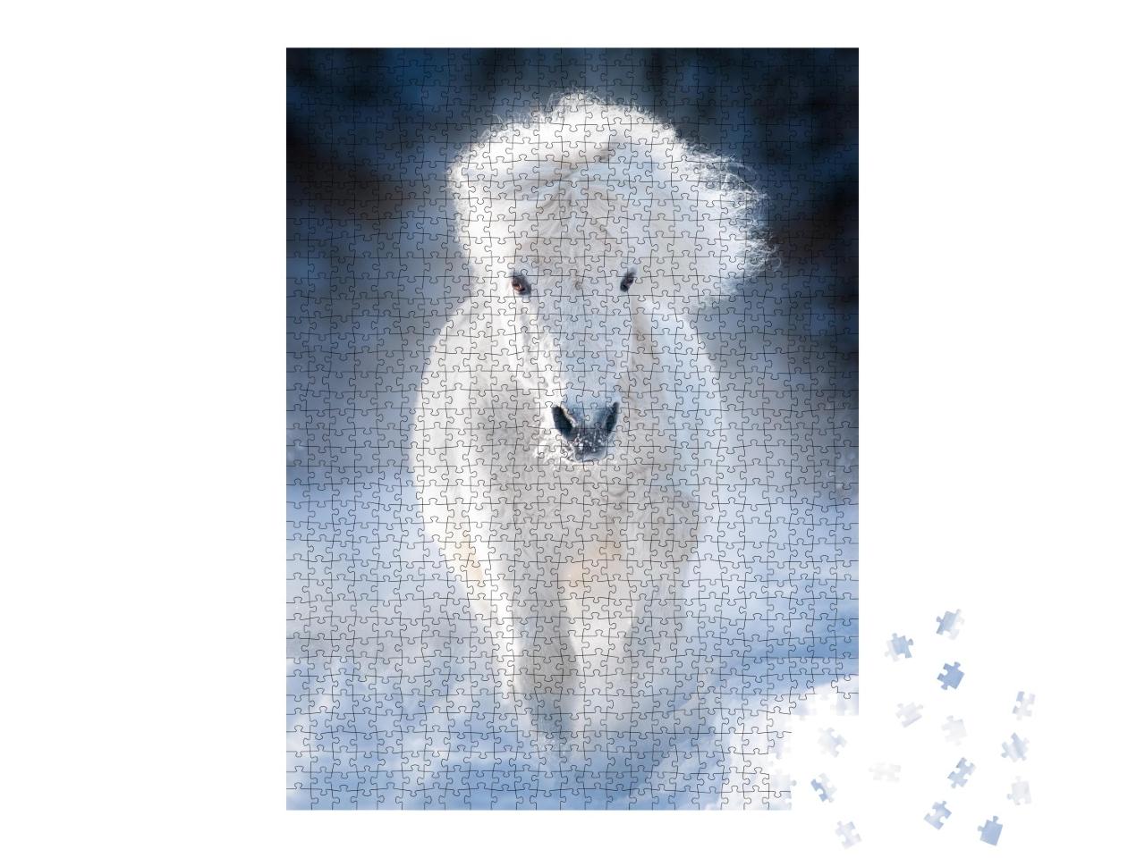 Puzzle 1000 Teile „Weißes flauschiges Shetlandpony im Galopp auf einer Winterwiese“