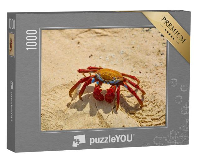 Puzzel 1000 stukjes „Sally Lightfoot krab op geel zand, Galapagoseilanden, Ecuador“