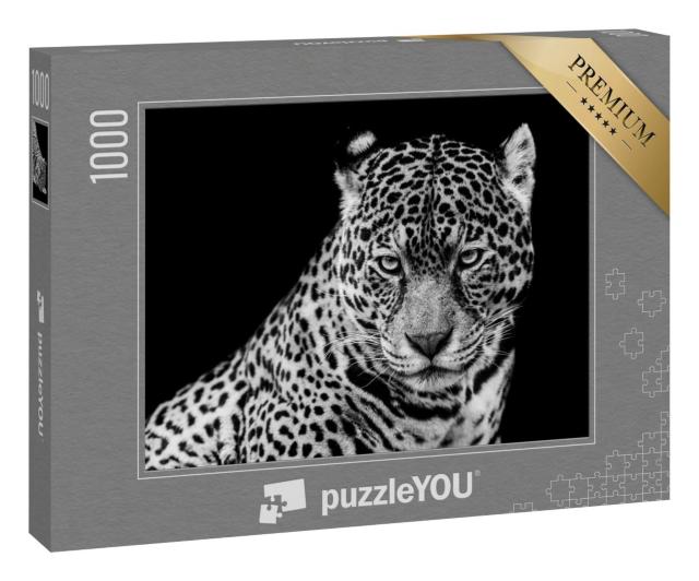 Puzzle 1000 Teile „Jaguar vor einem schwarzen Hintergrund“