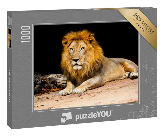 Puzzle 1000 Teile „Ein Löwe“