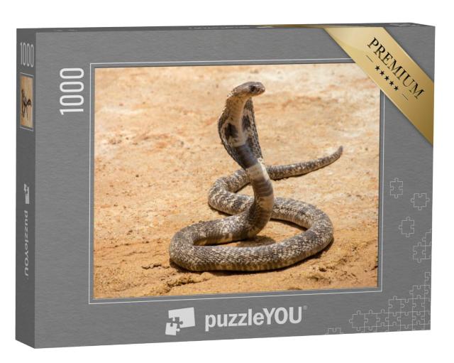 Puzzel 1000 stukjes „De koningscobra op zand“