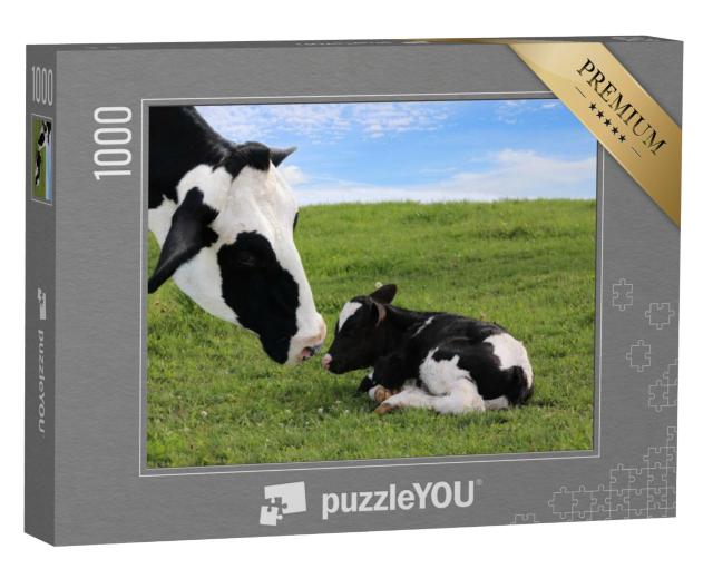 Puzzel 1000 stukjes „Holstein moederkoe met haar pasgeboren kalf“