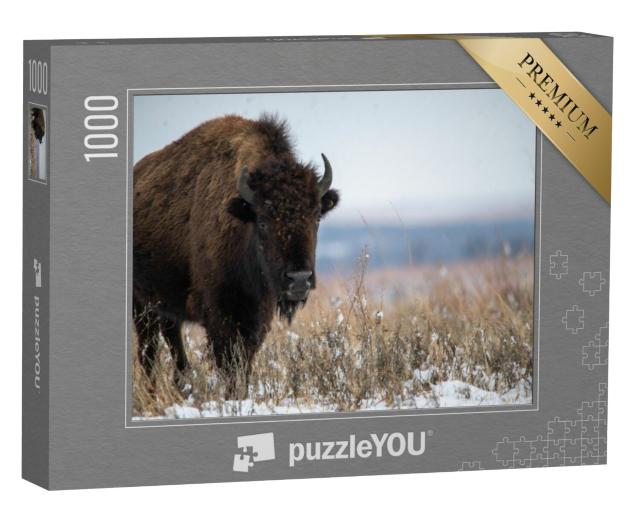 Puzzel 1000 stukjes „Oklahoma bizons na sneeuwval in december“