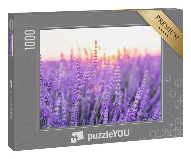 Puzzle „Sonnenuntergang über einem Lavendelfeld, Provence, Frankreich“