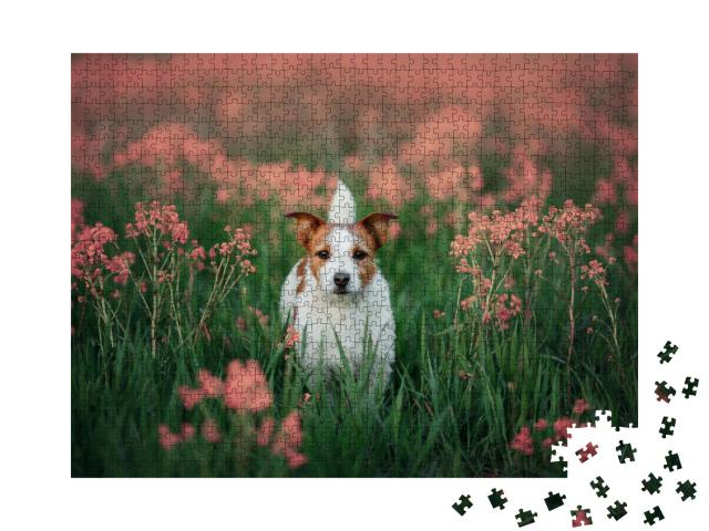 Puzzle 1000 Teile „Neugieriger Jack Russell Terrier in einer Blumenwiese“