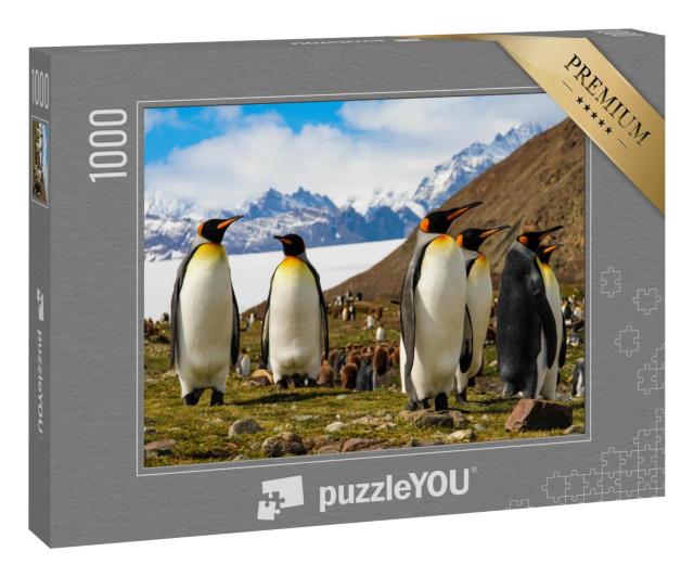 Puzzle 100 Teile „Königspinguine auf der Insel Südgeorgien, Antarktis“