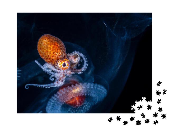 Puzzle 1000 Teile „Larven eines weiblichen Nautilus-Oktopus, Nahaufnahme“