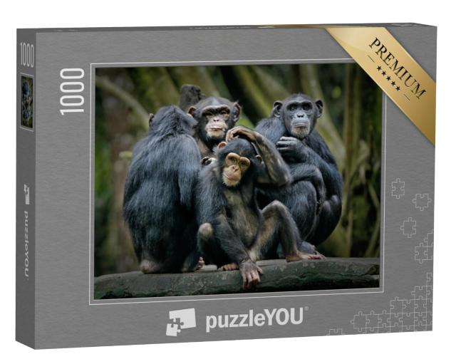 Puzzel 1000 stukjes „Chimpansees“