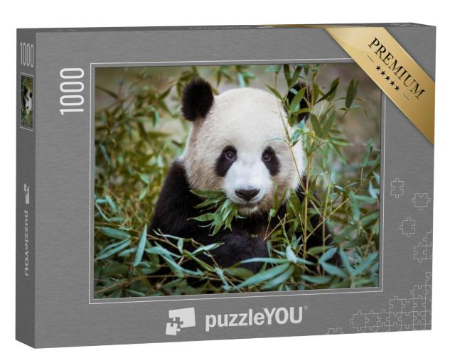 Puzzel 1000 stukjes „Reuzenpanda, bek vol bamboe“