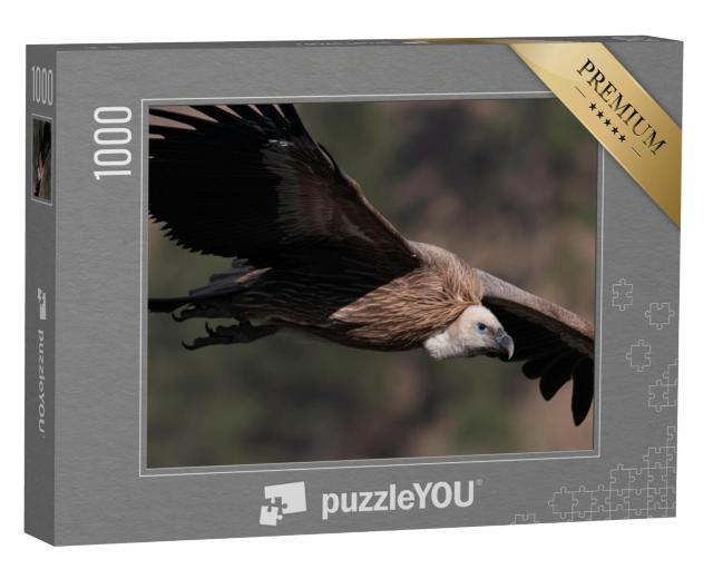 Puzzel 1000 stukjes „Vale gier tijdens de vlucht“