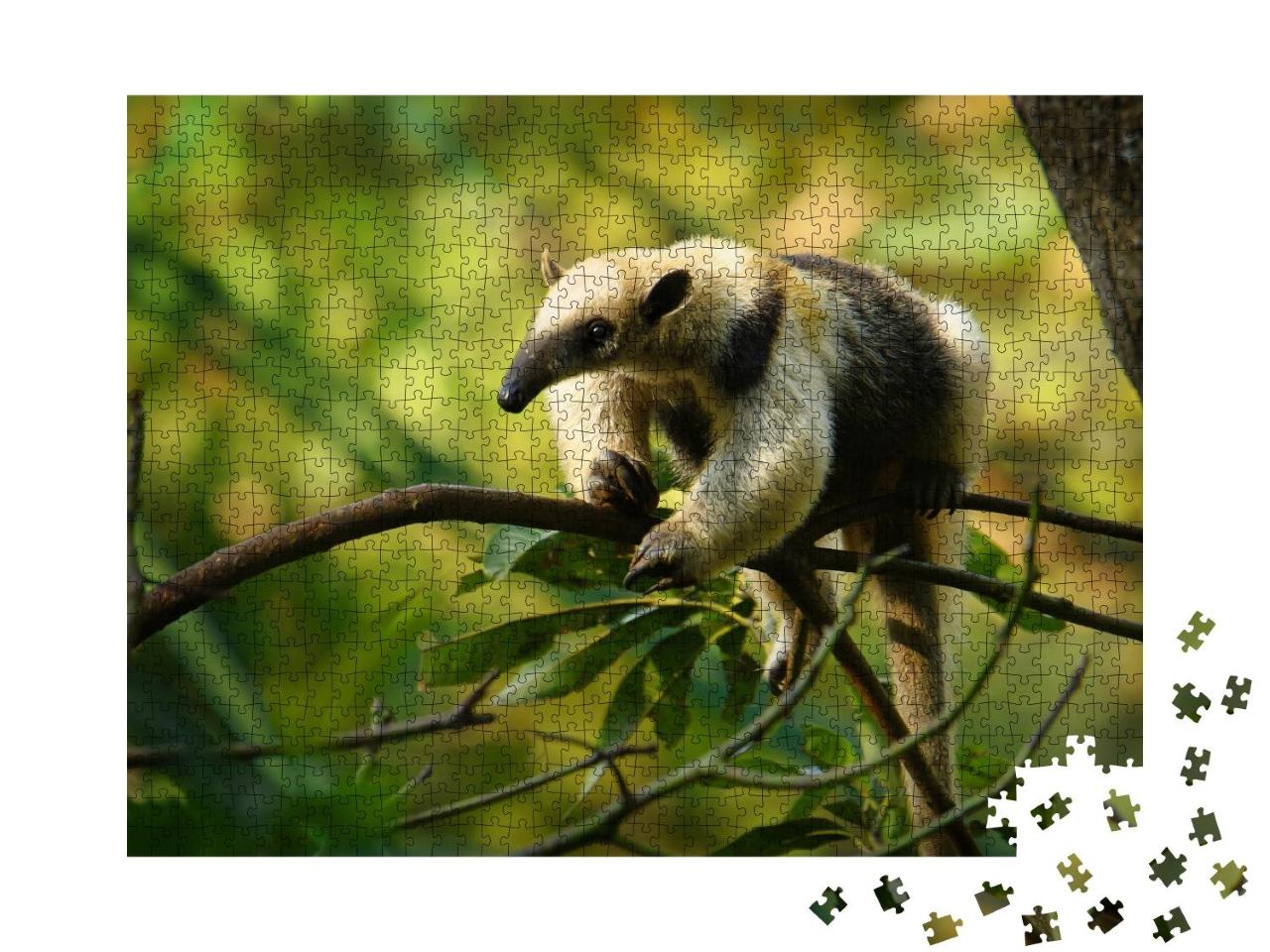 Puzzle 1000 Teile „Nördlicher Tamandua, Ameisenbär aus Mexiko“