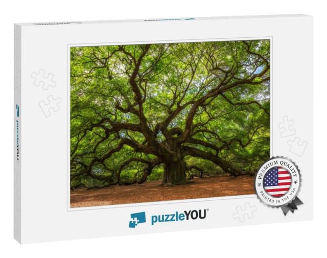Angle Oak Tree in Johns Island, South Carolina... Jigsaw Puzzle
