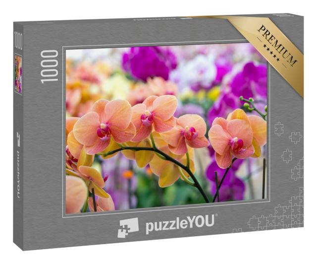 Puzzle 1000 Teile „Schönheit der Natur: Orchideen“