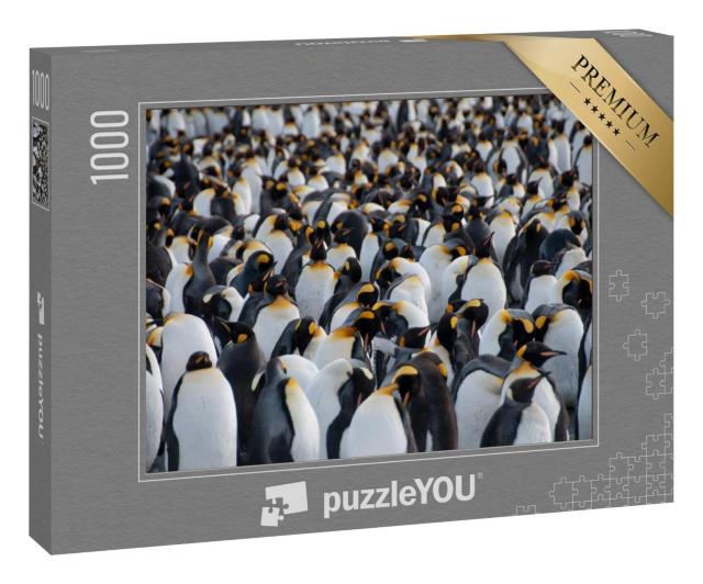 Pinguin puzzle - Die preiswertesten Pinguin puzzle ausführlich analysiert