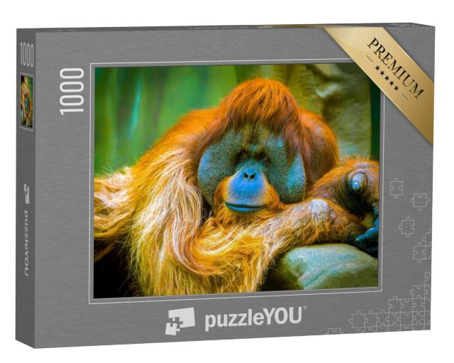 Puzzel 1000 stukjes „De orang-oetan is in een mijmering“